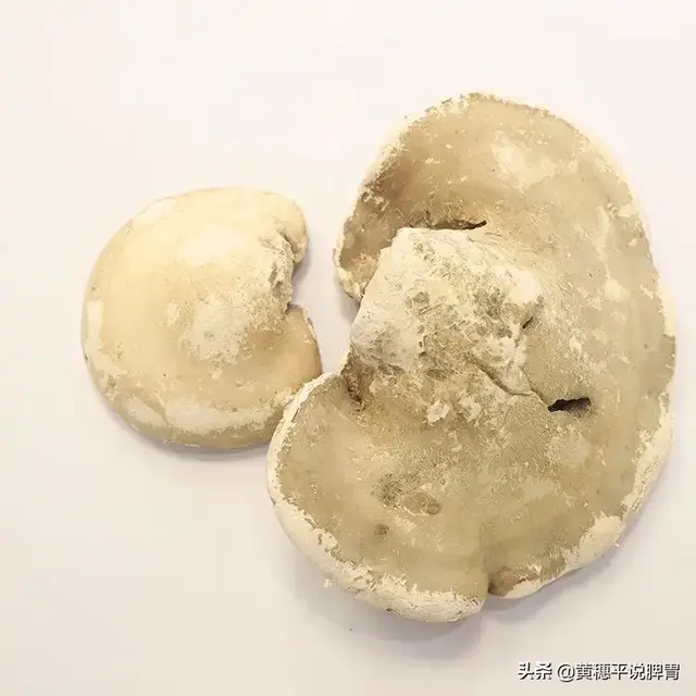 灵芝有几种颜色，灵芝有多少种类（灵芝的五色六类）