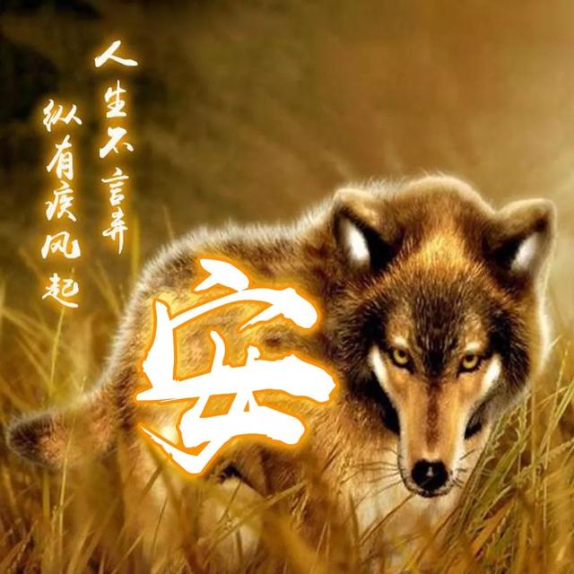 狼图片头像 凶猛 霸气 冷酷，100张姓氏霸气狼头像（100张“血性狼”姓氏头像、送给在困境中坚持梦想的你）