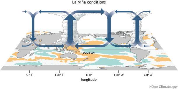 冬天是怎么样的，今年冬天会冷到什么程度（60年来最冷冬天会来吗）