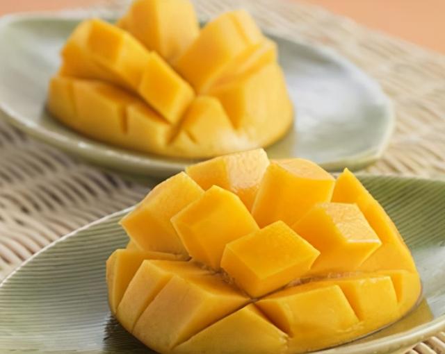 大芒果是什么品种，世界上超大的芒果是什么品种（青芒、贵妃芒、小台芒和金煌芒选哪种）