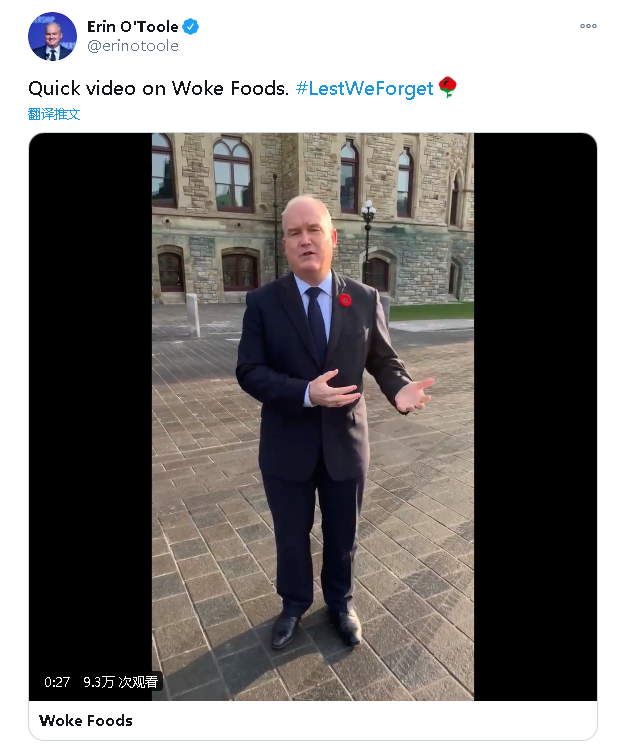 Poppies(罂粟花)网名，Poppies(罂粟花)（禁戴罂粟花纪念亡灵）