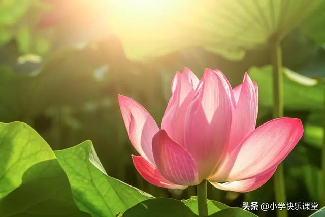 睥睨是什么意思啊，睥睨天下是褒义词吗（100个一看就会一读就错的字）