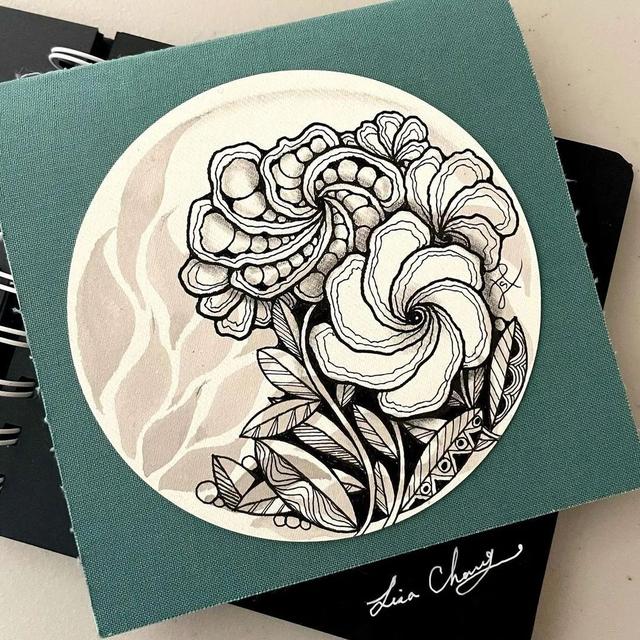 用圆规画出的精美图案，怎样用圆规画好看的图案（画出简单有创意的装饰禅绕画）