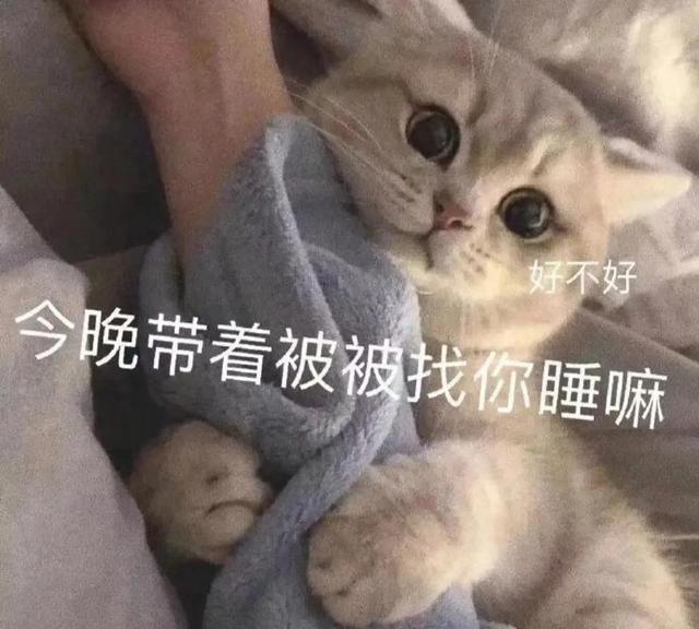 一对可爱狗狗表情包图集，情侣专用狗狗猫猫可可爱爱沙雕表情包