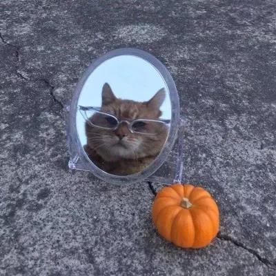 植物大战僵尸头像，植物大战僵尸6人团头微信（在吗？组队换头像啦）