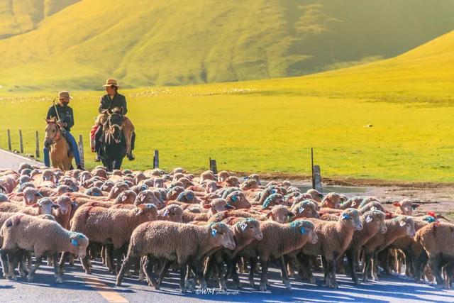 青海旅游景点排名前十，青海旅游景点排名前十自驾游地图（青海十大经典旅游景点）