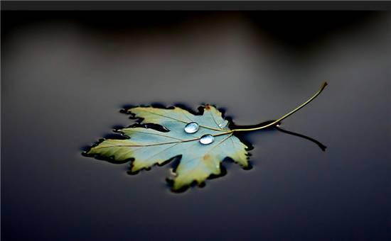 什么的神气，什么的神气填空（老子心法十诀）