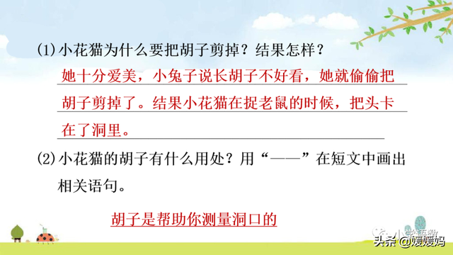 慢慢拼音怎么读，慢慢拼音（二年级下册语文课文19《大象的耳朵》图文详解及同步练习）