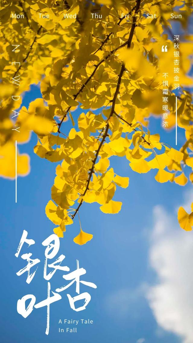 许昌旅游景点有哪些,许昌旅游景点有哪些地方(带你感受专属秋天的浪漫景色) 许昌旅游景点有哪些,许昌旅游景点有哪些地方(带你感受专属秋天的浪漫景色)