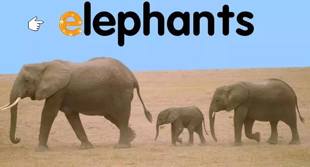 小学生英语学习网站，有哪些适合小学生的在线英语学习网站（100+顶级外国语学校推荐的英语启蒙网站）