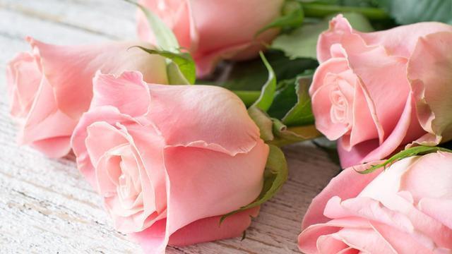 十二星座做什么容易减轻自己的烦恼，十二星座做什么容易减轻自己的烦恼呢（十二星座的减压妙方各是什么）