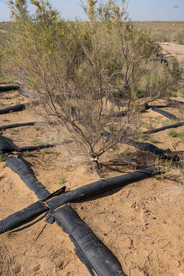 甘肃的沙漠主要分布在哪两个市，中国第二“罗布泊”甘肃沙漠县