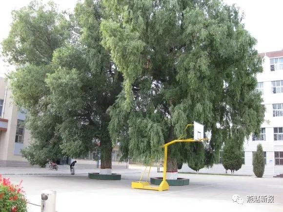 河北张家口教育学院，2021年张家口学院大一新生开学时间安排（我的师范芳华记忆：回眸柴师）