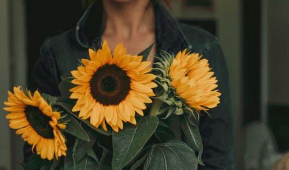 如何走出被劈腿的困境，处理劈腿绝招（我终于知道了怎么才能避开“渣男”）