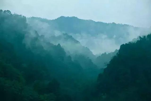 一叶障目的道理，一叶障目告诉我们什么道理（10句经典老话）