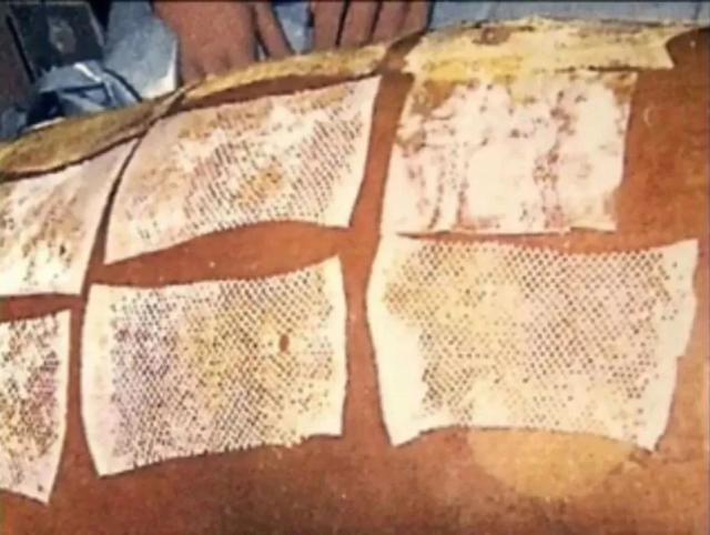 日本东海村核临界事故，日本东海村核临界事故百科（核辐射惨烈堪比十八层地狱）