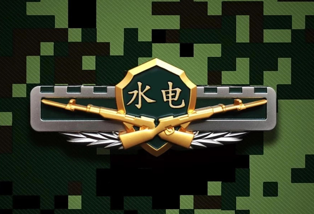 武警水电部队，武警水电部队有枪吗（武警8大警种部队改编）