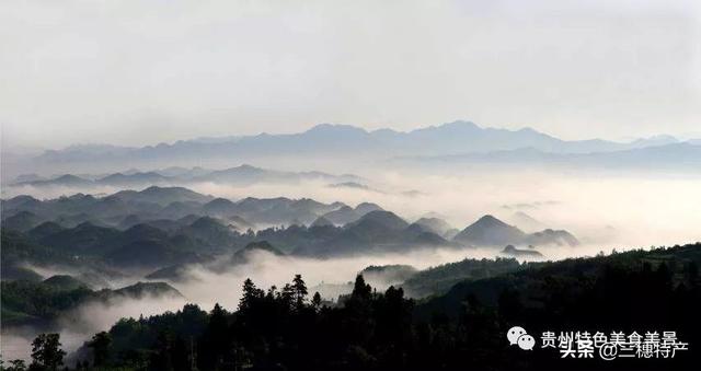 真正的龙眉图片，哪种眉毛是富贵眉毛（贵州旅游攻略之地球上的彩带——花的海洋百里杜鹃）