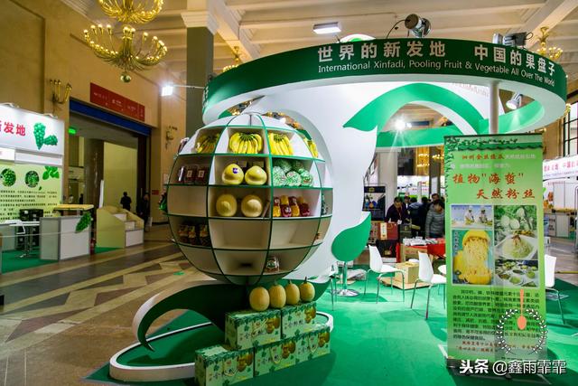 菊苣怎么读是什么意思，菊苣怎么读（这百种水果不要说吃过）