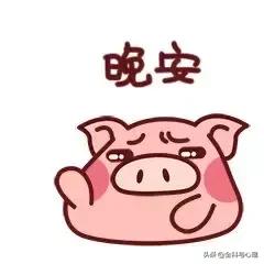 晚安句子简单一句话，晚安句子简单一句话女人（睡前问候晚安的温馨简短一句话）