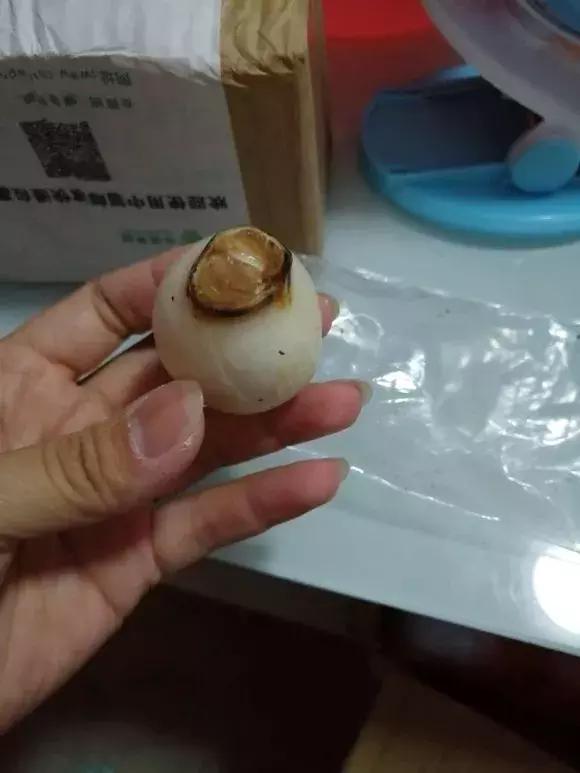 洋葱长芽了会开花吗，洋葱长芽了会开花吗有毒吗（阳台种点“大葱”）