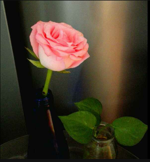 “灿白两个大傻子.”♡，灿白百度百科（泰戈尔《吉檀迦利》第一篇亚洲获得诺贝尔奖的大作图片）