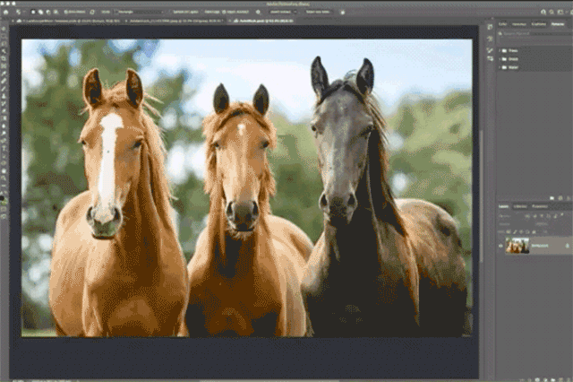 photoshop在线(photoshop下载手机版中文版)