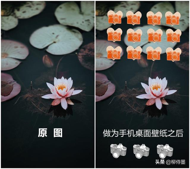 怎样把图片设为屏保，如何设置屏保图片（13张示例图片分享6个摄影技巧）