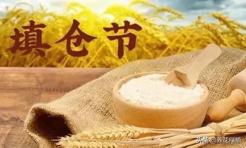 填仓节的风俗，填仓节的风俗是哪个地方的（看看有哪些习俗）