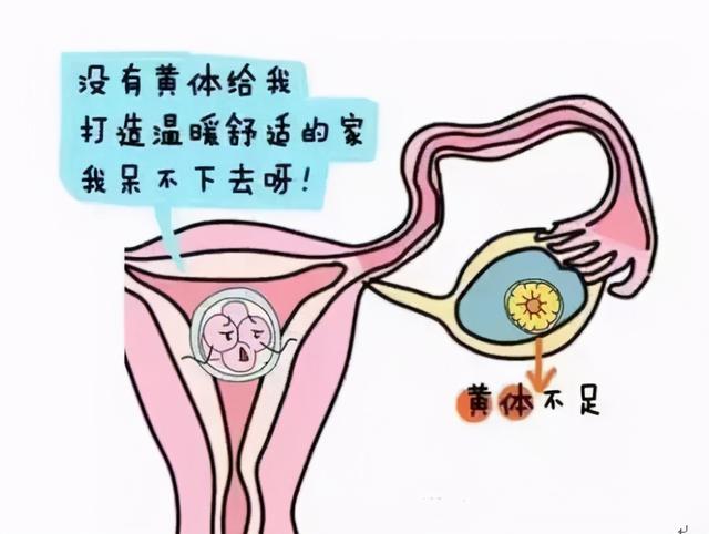 孕激素给人带来的影响，孕激素给人带来的影响是什么（如果女性缺少“黄体酮”）