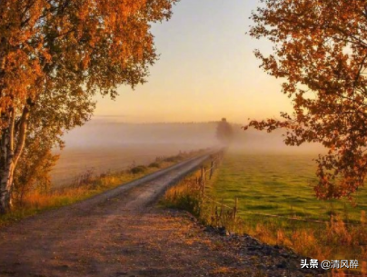 突然下雪了发表说说，下雪时发表的说说（下雪说说心情短语精选）