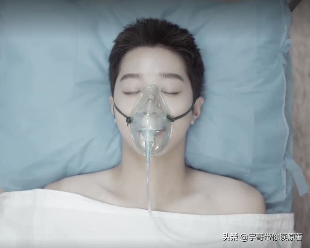 南向晚是什么电视剧，别想打扰我学生电视剧免费观看完整版大结局西瓜（《别想打扰我学习》大结局）