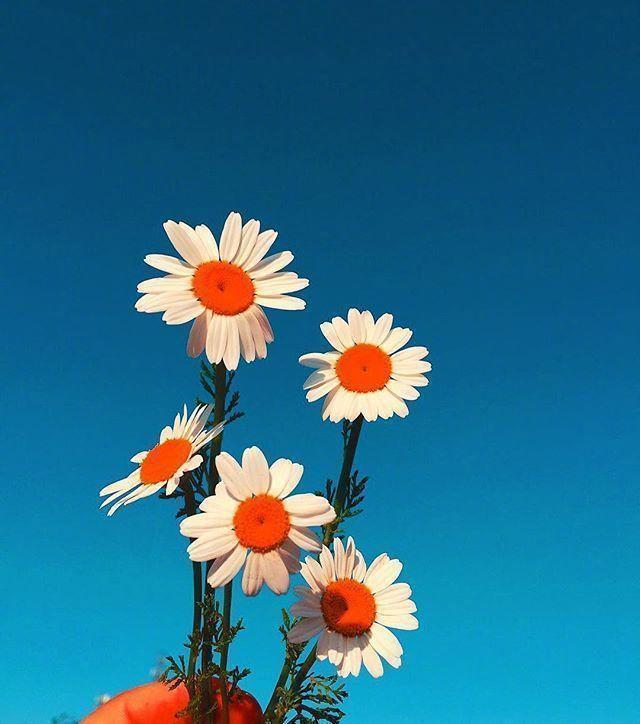 鼓励别人挣钱的话，鼓励别人挣钱的说说（早安心语赚钱感悟）