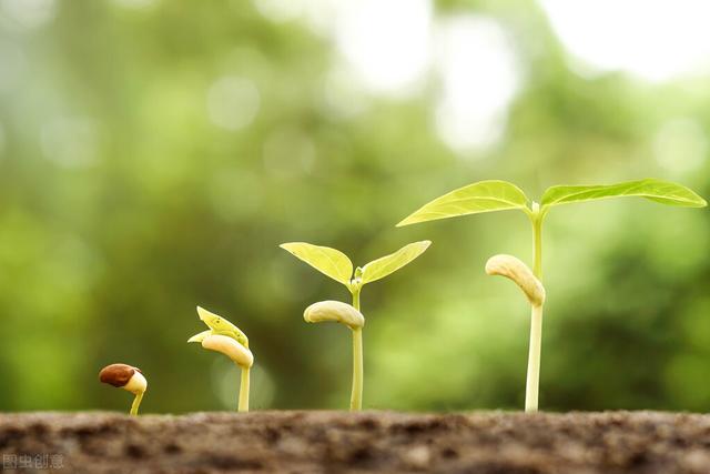 讲座心得体会万能模板，讲座心得体会万能（遇见更好的自己——听鄢文龙教授讲座心得体会）