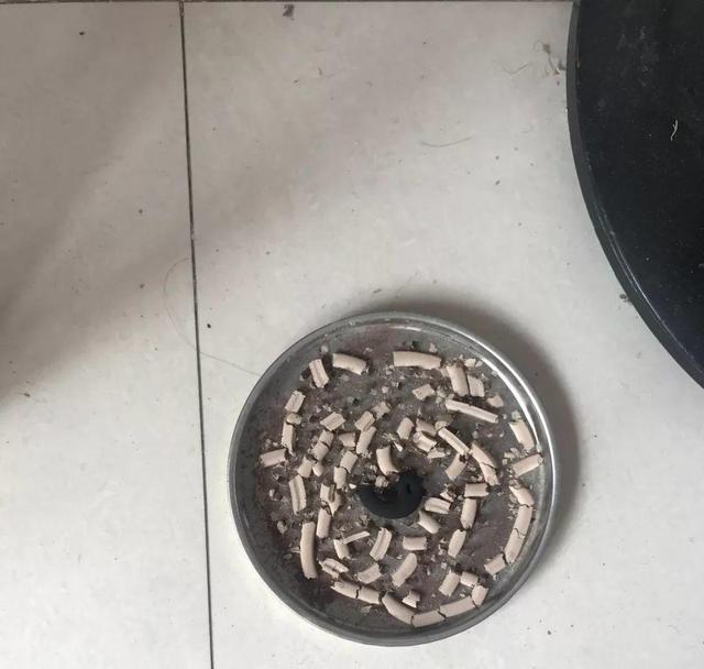 怎么驱蚊子最有效，除蚊子的方法（1把蚊香灰撒盆里）