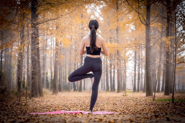 郯城银杏林在哪，郯城银杏林在哪个村（遇见2020年最后一抹秋色）