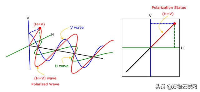 去极化是什么意思，tscd是什么意思啊（射频知识介绍：电磁波极化）