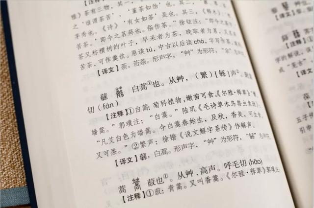 废什么意思解释，废字笔画笔顺（才能真正懂得中国的文化）