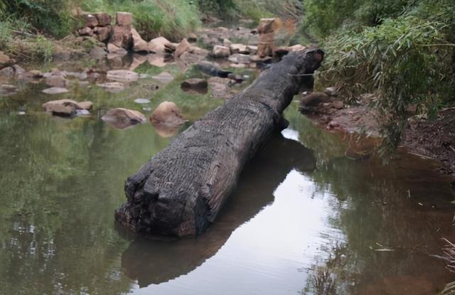 什么是乌木，“家有乌木半方（乌木是什么木材）