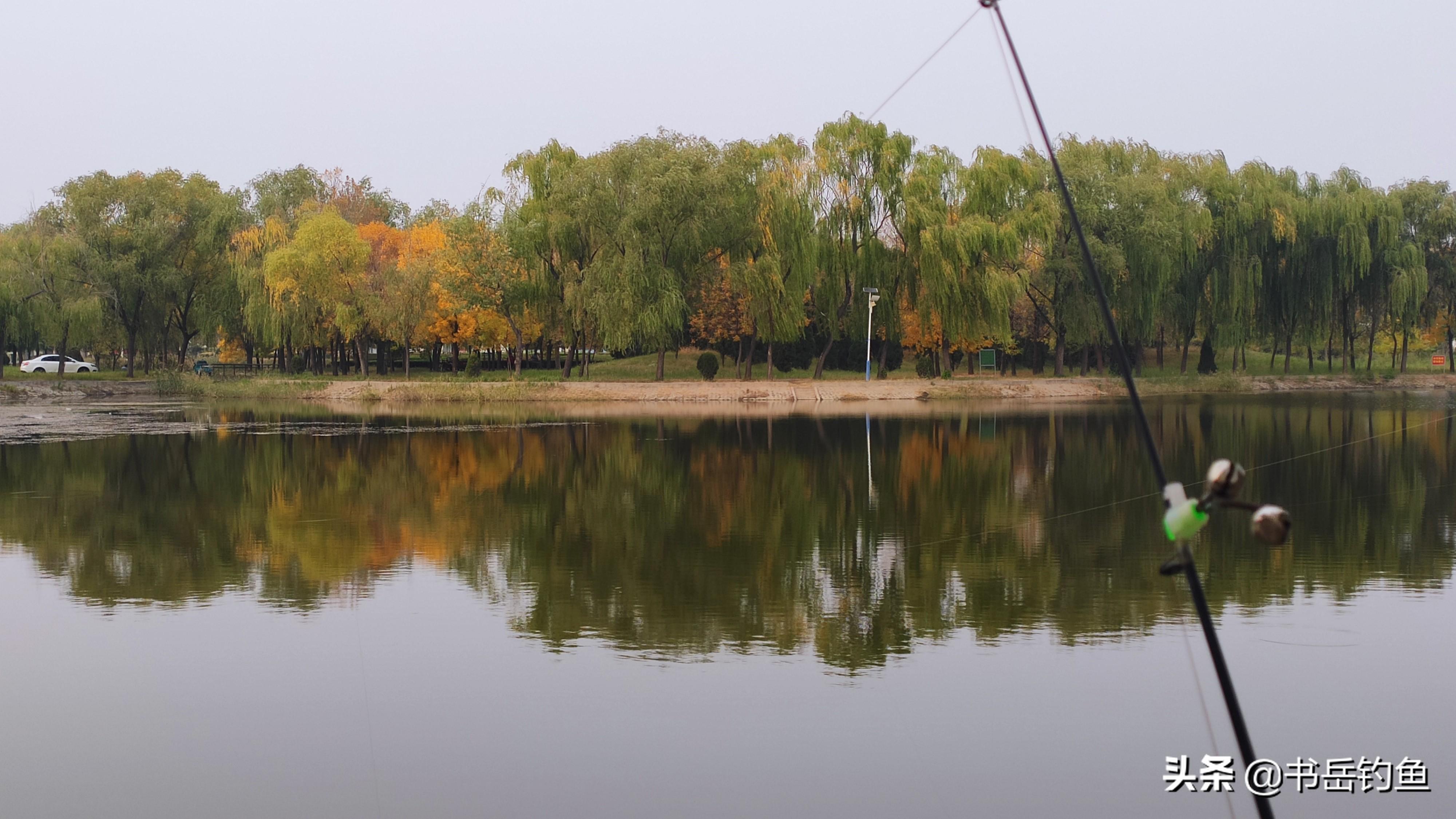 抛竿垂钓串钩线组组装图解教程，手把手教你快速正确搭配钓具