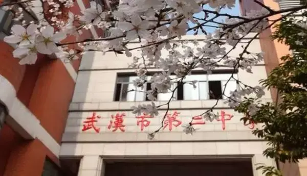 黄陂一中和新洲一中哪个好，武汉新洲一中怎么样（武汉15区排名NO.1的最牛中学盘点）