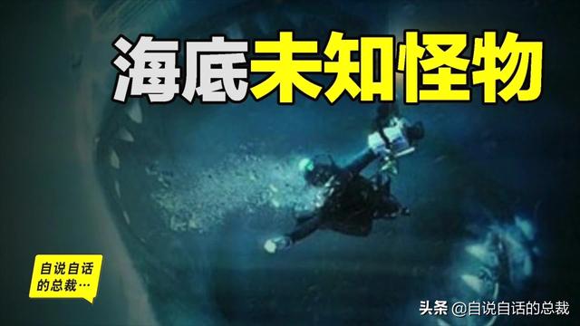 十大怪异鲨鱼，10000米长的蜈蚣（背后隐藏着一个人类起源的故事）