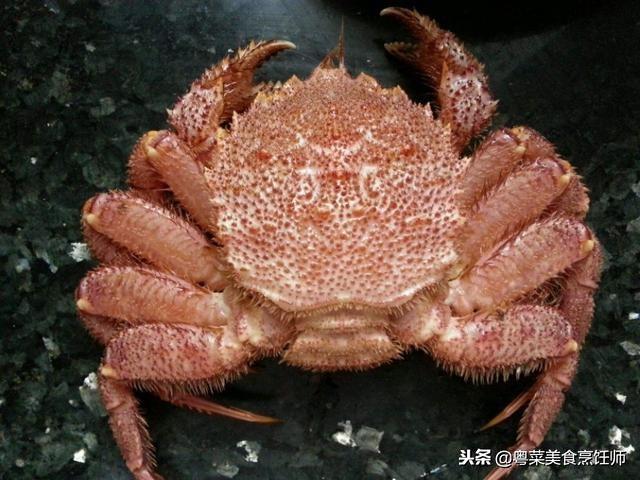 世界上最稀有的螃蟹排行榜，聚集十几种比较有名的螃蟹