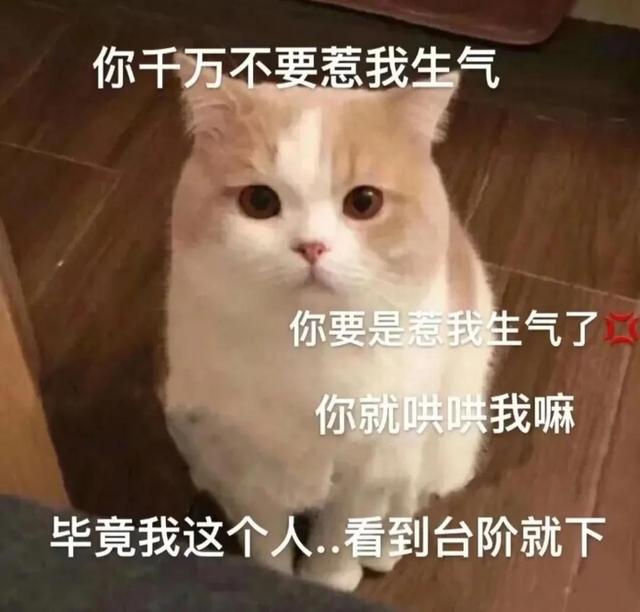 一对可爱狗狗表情包图集，情侣专用狗狗猫猫可可爱爱沙雕表情包