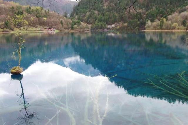 描写九寨沟的诗句，描写九寨沟的诗句加古代诗人（九寨沟108个高山湖泊）