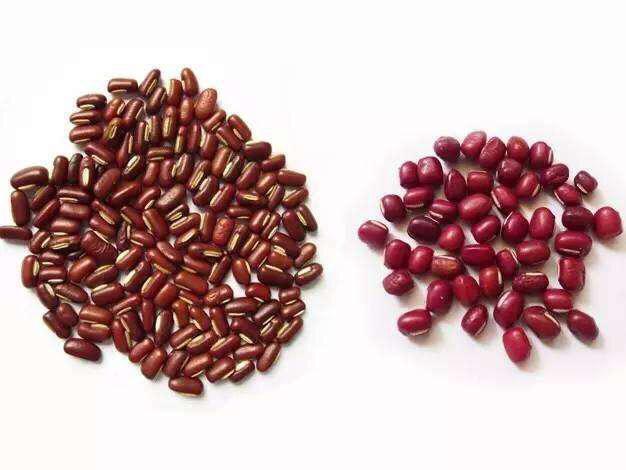 红豆和赤小豆的区别和功效，赤小豆和红豆的区别与功效（中药材赤小豆）