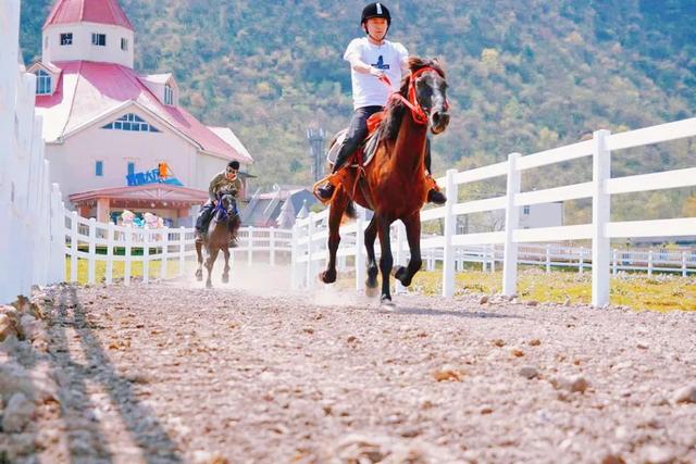 西岭雪山官网订门票，西岭雪山官网直播（含景区门票+交索往返）
