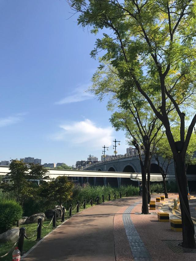 西安南湖公园开放吗，西安南湖公园景点介绍（晨练只能跑马路了）