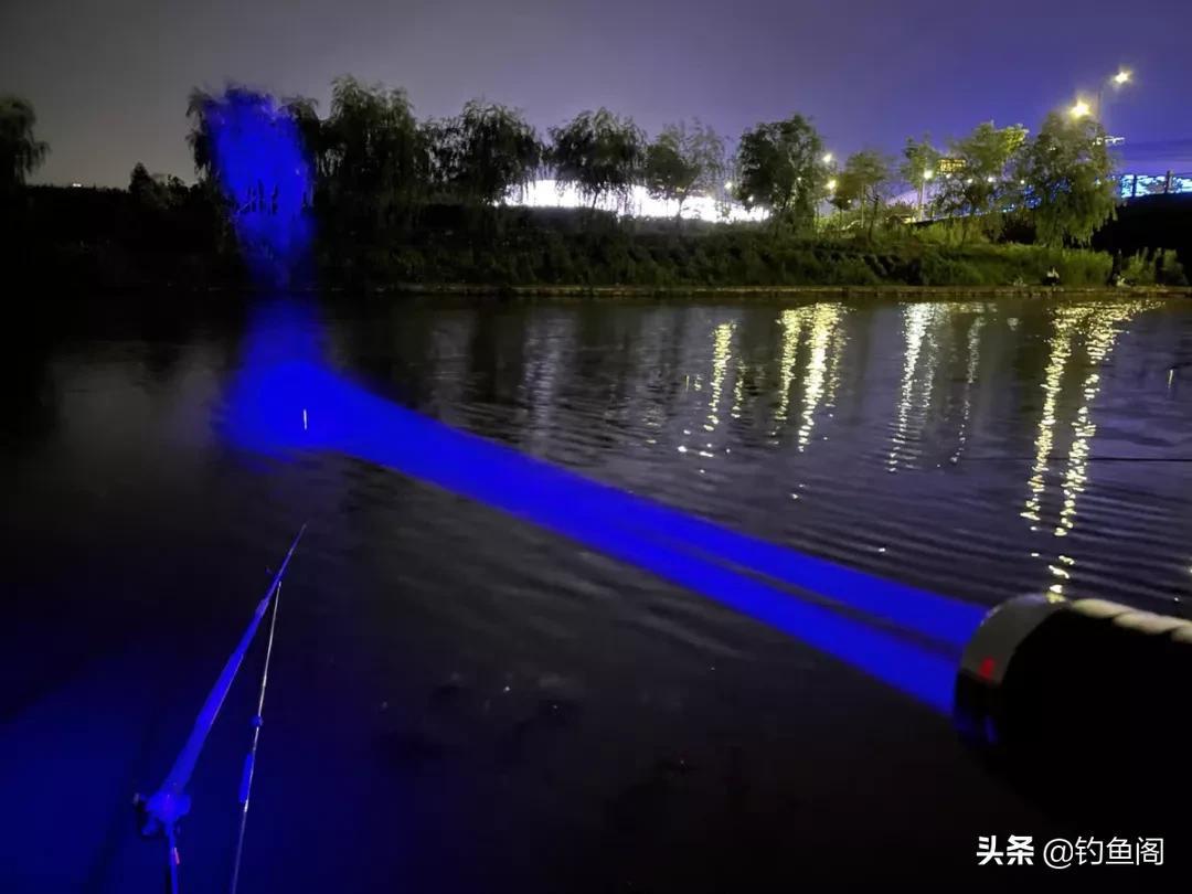冬季野钓鲫鱼技巧全解析：夜钓是否可行？掌握关键方法轻松上鱼