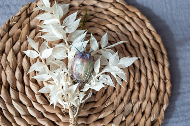 鲜花如何做成干花，如何把鲜花做成干花（快死的鲜花别急着扔）